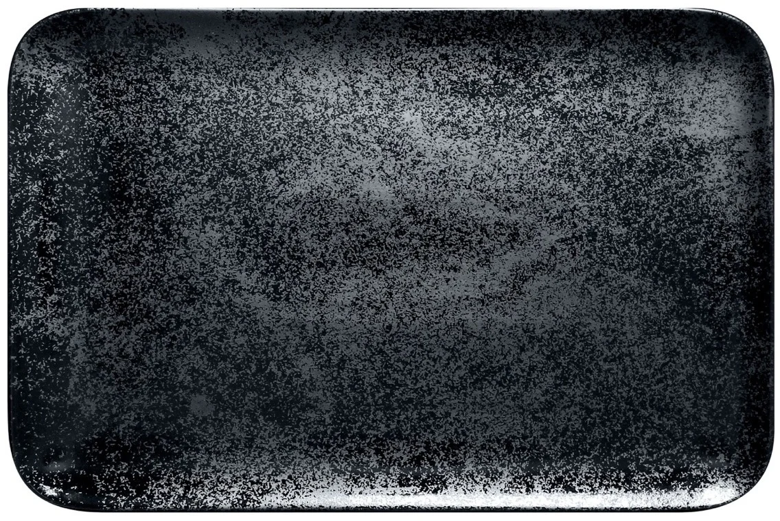 16204