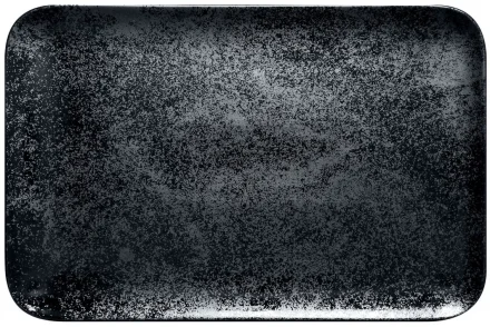 16204