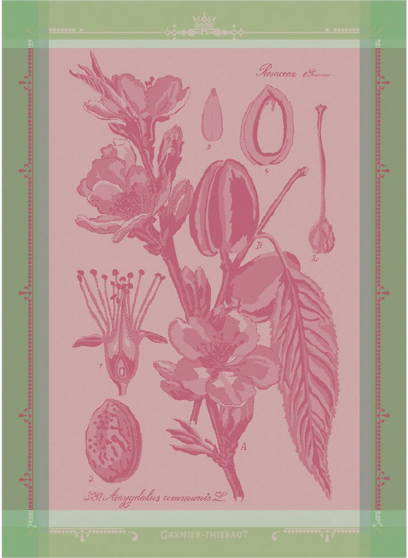 Ręcznik kuchenny FLEURS D AMANDIER ROSE 56 x 77 cm - GARNIER THIEBAUT